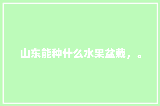 山东能种什么水果盆栽，。 山东能种什么水果盆栽，。 蔬菜种植