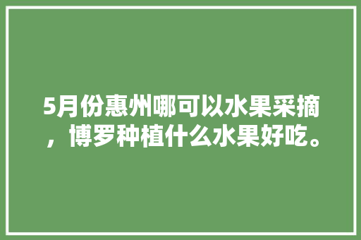 5月份惠州哪可以水果采摘，博罗种植什么水果好吃。 5月份惠州哪可以水果采摘，博罗种植什么水果好吃。 水果种植