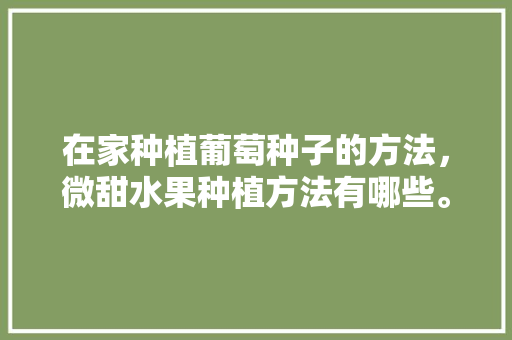 在家种植葡萄种子的方法，微甜水果种植方法有哪些。 在家种植葡萄种子的方法，微甜水果种植方法有哪些。 家禽养殖