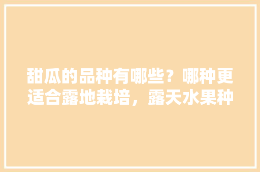 甜瓜的品种有哪些？哪种更适合露地栽培，露天水果种植品种有哪些。 甜瓜的品种有哪些？哪种更适合露地栽培，露天水果种植品种有哪些。 土壤施肥