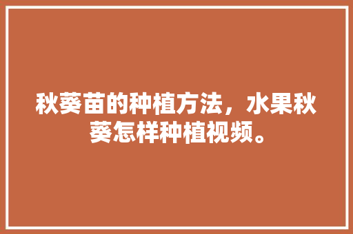 秋葵苗的种植方法，水果秋葵怎样种植视频。 秋葵苗的种植方法，水果秋葵怎样种植视频。 蔬菜种植