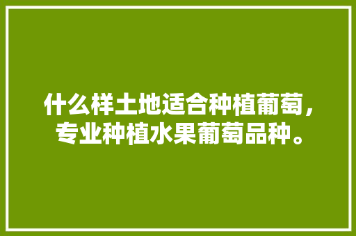 什么样土地适合种植葡萄，专业种植水果葡萄品种。 什么样土地适合种植葡萄，专业种植水果葡萄品种。 土壤施肥