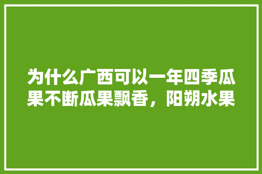 为什么广西可以一年四季瓜果不断瓜果飘香，阳朔水果种植基地。 为什么广西可以一年四季瓜果不断瓜果飘香，阳朔水果种植基地。 土壤施肥