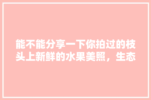 能不能分享一下你拍过的枝头上新鲜的水果美照，生态种植绿色水果图片大全。 能不能分享一下你拍过的枝头上新鲜的水果美照，生态种植绿色水果图片大全。 蔬菜种植