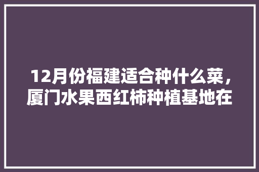 12月份福建适合种什么菜，厦门水果西红柿种植基地在哪里。 12月份福建适合种什么菜，厦门水果西红柿种植基地在哪里。 水果种植