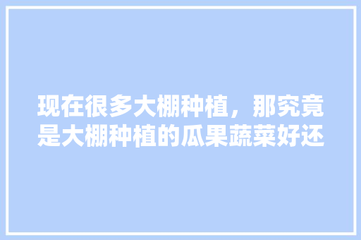 现在很多大棚种植，那究竟是大棚种植的瓜果蔬菜好还是露天的瓜果蔬菜好呢？为什么，室外水果种植方法。 现在很多大棚种植，那究竟是大棚种植的瓜果蔬菜好还是露天的瓜果蔬菜好呢？为什么，室外水果种植方法。 蔬菜种植