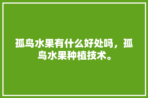 孤鸟水果有什么好处吗，孤鸟水果种植技术。 孤鸟水果有什么好处吗，孤鸟水果种植技术。 水果种植