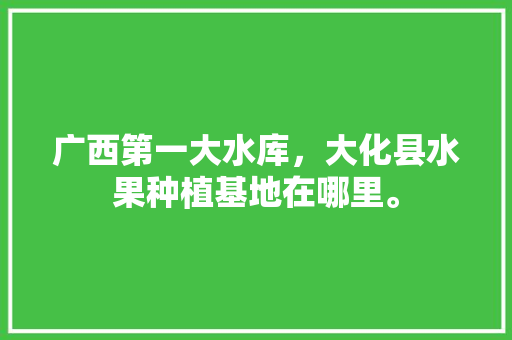 广西第一大水库，大化县水果种植基地在哪里。 广西第一大水库，大化县水果种植基地在哪里。 畜牧养殖