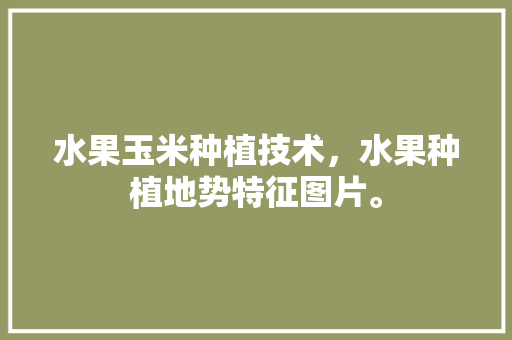 水果玉米种植技术，水果种植地势特征图片。 水果玉米种植技术，水果种植地势特征图片。 蔬菜种植