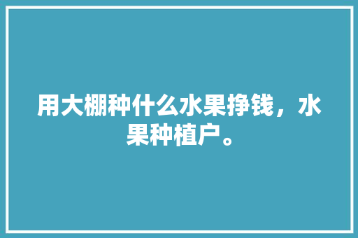 用大棚种什么水果挣钱，水果种植户。 用大棚种什么水果挣钱，水果种植户。 蔬菜种植