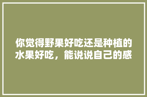 你觉得野果好吃还是种植的水果好吃，能说说自己的感受吗，野生水果种植效果怎么样。 你觉得野果好吃还是种植的水果好吃，能说说自己的感受吗，野生水果种植效果怎么样。 蔬菜种植