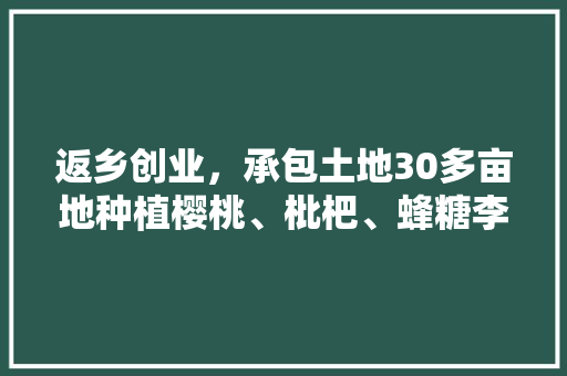 返乡创业，承包土地30多亩地种植樱桃、枇杷、蜂糖李、桃子、八月瓜、无花果，有前途吗，漂亮的水果种植方法。 返乡创业，承包土地30多亩地种植樱桃、枇杷、蜂糖李、桃子、八月瓜、无花果，有前途吗，漂亮的水果种植方法。 畜牧养殖