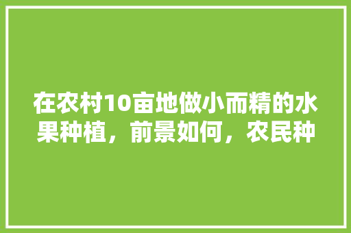 在农村10亩地做小而精的水果种植，前景如何，农民种植水果的案例有哪些。 在农村10亩地做小而精的水果种植，前景如何，农民种植水果的案例有哪些。 水果种植