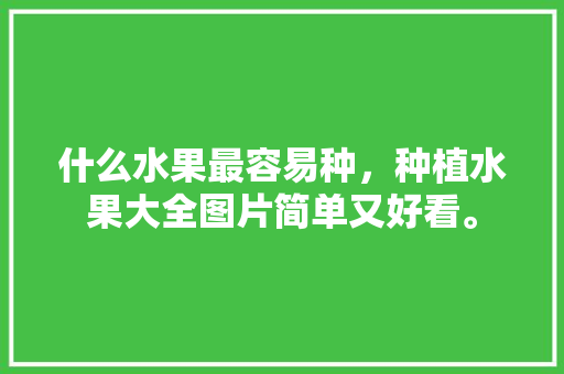 什么水果最容易种，种植水果大全图片简单又好看。 什么水果最容易种，种植水果大全图片简单又好看。 水果种植