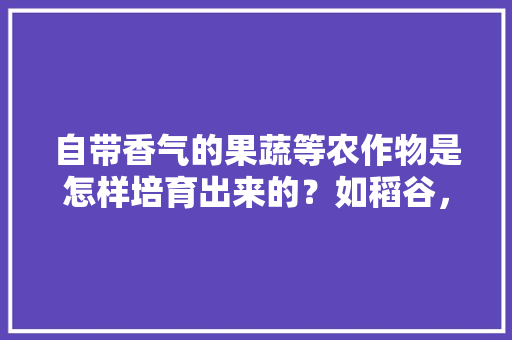 自带香气的果蔬等农作物是怎样培育出来的？如稻谷，西红柿等，水果种植创意视频素材下载。 自带香气的果蔬等农作物是怎样培育出来的？如稻谷，西红柿等，水果种植创意视频素材下载。 土壤施肥