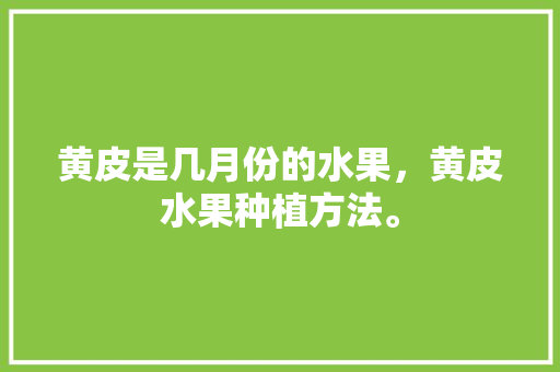 黄皮是几月份的水果，黄皮水果种植方法。 黄皮是几月份的水果，黄皮水果种植方法。 蔬菜种植