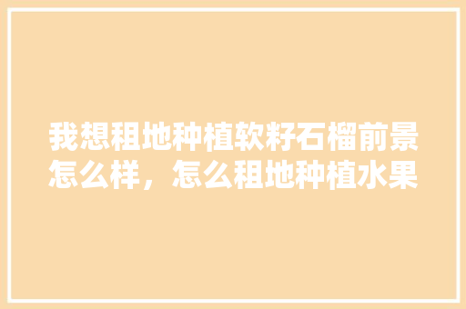 我想租地种植软籽石榴前景怎么样，怎么租地种植水果呢视频。 我想租地种植软籽石榴前景怎么样，怎么租地种植水果呢视频。 水果种植