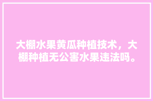 大棚水果黄瓜种植技术，大棚种植无公害水果违法吗。 大棚水果黄瓜种植技术，大棚种植无公害水果违法吗。 畜牧养殖