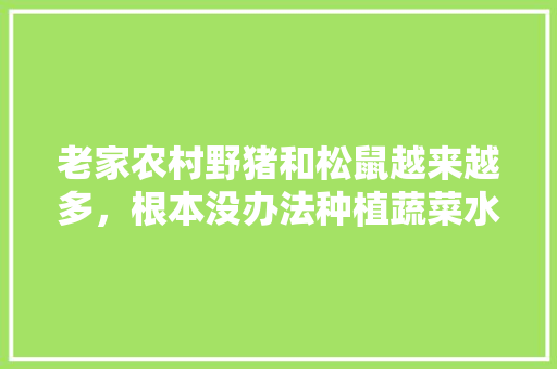 老家农村野猪和松鼠越来越多，根本没办法种植蔬菜水果怎么办，种植特种水果有哪些。 老家农村野猪和松鼠越来越多，根本没办法种植蔬菜水果怎么办，种植特种水果有哪些。 土壤施肥