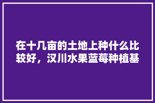 在十几亩的土地上种什么比较好，汉川水果蓝莓种植基地在哪里。 在十几亩的土地上种什么比较好，汉川水果蓝莓种植基地在哪里。 畜牧养殖