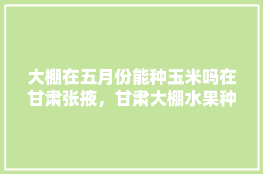 大棚在五月份能种玉米吗在甘肃张掖，甘肃大棚水果种植基地。 大棚在五月份能种玉米吗在甘肃张掖，甘肃大棚水果种植基地。 蔬菜种植