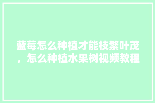 蓝莓怎么种植才能枝繁叶茂，怎么种植水果树视频教程。 蓝莓怎么种植才能枝繁叶茂，怎么种植水果树视频教程。 水果种植