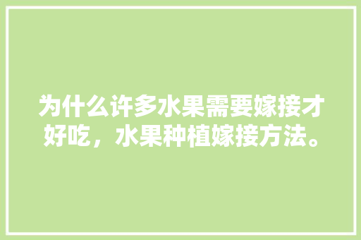 为什么许多水果需要嫁接才好吃，水果种植嫁接方法。 为什么许多水果需要嫁接才好吃，水果种植嫁接方法。 蔬菜种植