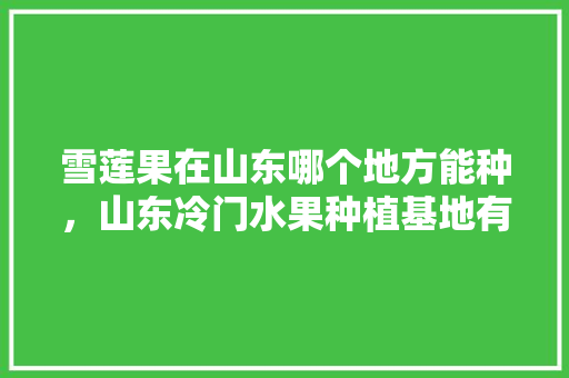 雪莲果在山东哪个地方能种，山东冷门水果种植基地有哪些。 雪莲果在山东哪个地方能种，山东冷门水果种植基地有哪些。 蔬菜种植