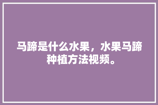 马蹄是什么水果，水果马蹄 种植方法视频。 马蹄是什么水果，水果马蹄 种植方法视频。 家禽养殖