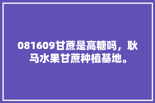 081609甘蔗是高糖吗，耿马水果甘蔗种植基地。 081609甘蔗是高糖吗，耿马水果甘蔗种植基地。 土壤施肥