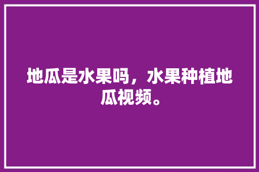 地瓜是水果吗，水果种植地瓜视频。 地瓜是水果吗，水果种植地瓜视频。 家禽养殖