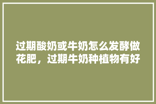 过期酸奶或牛奶怎么发酵做花肥，过期牛奶种植物有好处吗。 过期酸奶或牛奶怎么发酵做花肥，过期牛奶种植物有好处吗。 蔬菜种植