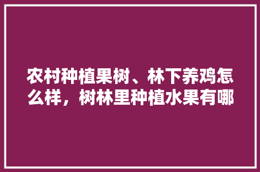 农村种植果树、林下养鸡怎么样，树林里种植水果有哪些。 农村种植果树、林下养鸡怎么样，树林里种植水果有哪些。 水果种植