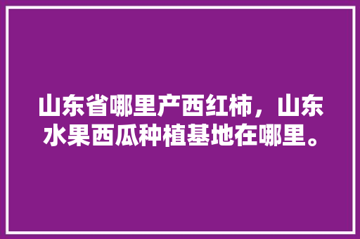 山东省哪里产西红柿，山东水果西瓜种植基地在哪里。 山东省哪里产西红柿，山东水果西瓜种植基地在哪里。 土壤施肥