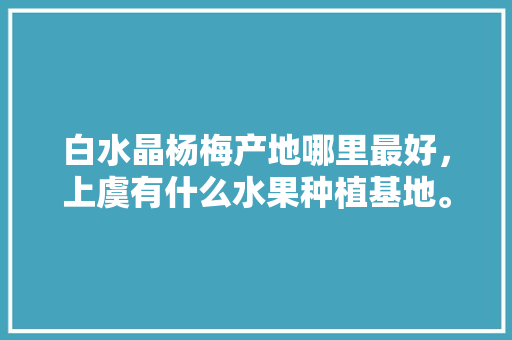 白水晶杨梅产地哪里最好，上虞有什么水果种植基地。 白水晶杨梅产地哪里最好，上虞有什么水果种植基地。 畜牧养殖