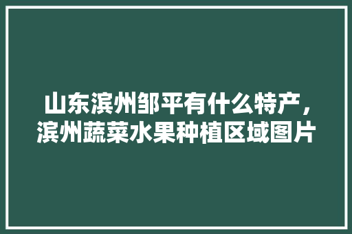 山东滨州邹平有什么特产，滨州蔬菜水果种植区域图片。 山东滨州邹平有什么特产，滨州蔬菜水果种植区域图片。 水果种植