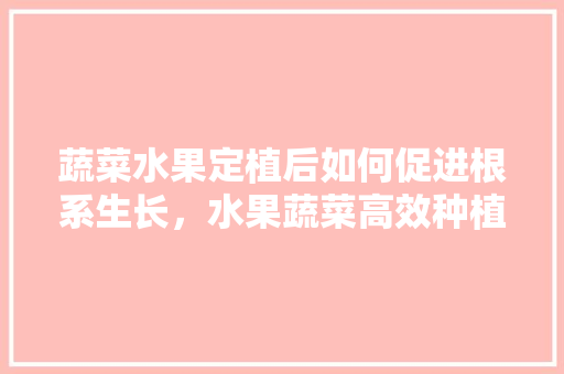 蔬菜水果定植后如何促进根系生长，水果蔬菜高效种植技术有哪些。 蔬菜水果定植后如何促进根系生长，水果蔬菜高效种植技术有哪些。 水果种植