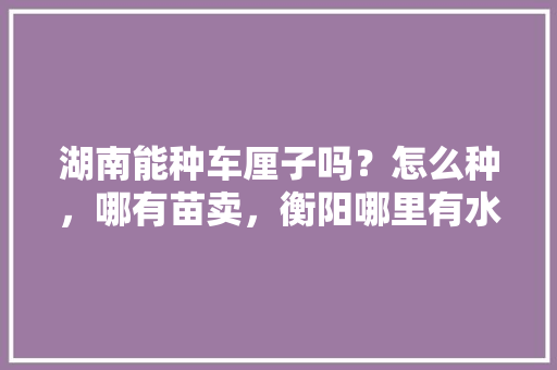 湖南能种车厘子吗？怎么种，哪有苗卖，衡阳哪里有水果种植基地。 湖南能种车厘子吗？怎么种，哪有苗卖，衡阳哪里有水果种植基地。 水果种植