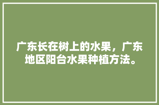 广东长在树上的水果，广东地区阳台水果种植方法。 广东长在树上的水果，广东地区阳台水果种植方法。 水果种植