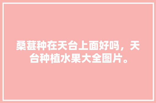 桑葚种在天台上面好吗，天台种植水果大全图片。 桑葚种在天台上面好吗，天台种植水果大全图片。 蔬菜种植