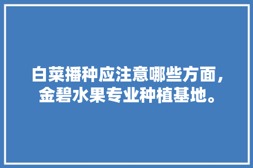 白菜播种应注意哪些方面，金碧水果专业种植基地。 白菜播种应注意哪些方面，金碧水果专业种植基地。 土壤施肥