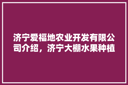 济宁爱福地农业开发有限公司介绍，济宁大棚水果种植基地在哪里。 济宁爱福地农业开发有限公司介绍，济宁大棚水果种植基地在哪里。 水果种植