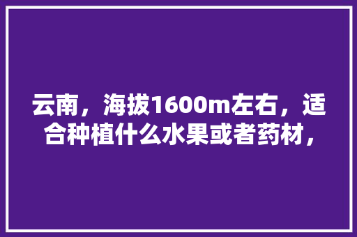 云南，海拔1600m左右，适合种植什么水果或者药材，云南水果种植。 云南，海拔1600m左右，适合种植什么水果或者药材，云南水果种植。 蔬菜种植