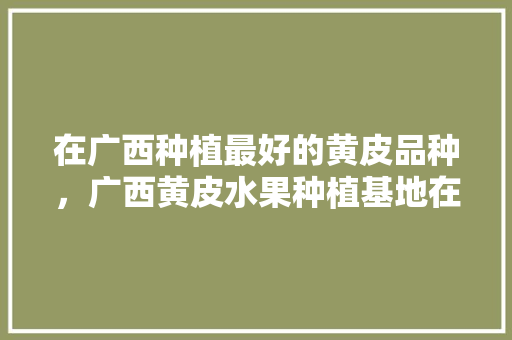 在广西种植最好的黄皮品种，广西黄皮水果种植基地在哪里。 在广西种植最好的黄皮品种，广西黄皮水果种植基地在哪里。 家禽养殖