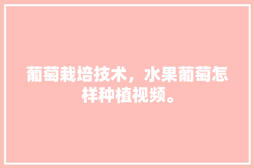 葡萄栽培技术，水果葡萄怎样种植视频。 葡萄栽培技术，水果葡萄怎样种植视频。 畜牧养殖