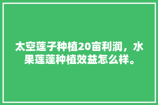 太空莲子种植20亩利润，水果莲蓬种植效益怎么样。 太空莲子种植20亩利润，水果莲蓬种植效益怎么样。 水果种植