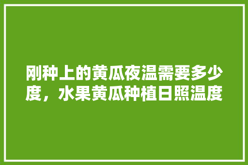 刚种上的黄瓜夜温需要多少度，水果黄瓜种植日照温度要求。 刚种上的黄瓜夜温需要多少度，水果黄瓜种植日照温度要求。 水果种植