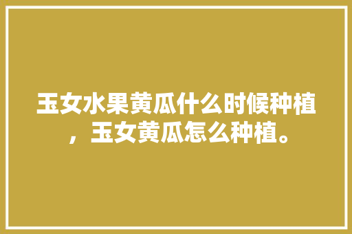 玉女水果黄瓜什么时候种植，玉女黄瓜怎么种植。 玉女水果黄瓜什么时候种植，玉女黄瓜怎么种植。 土壤施肥