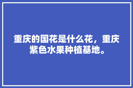 重庆的国花是什么花，重庆紫色水果种植基地。 重庆的国花是什么花，重庆紫色水果种植基地。 水果种植