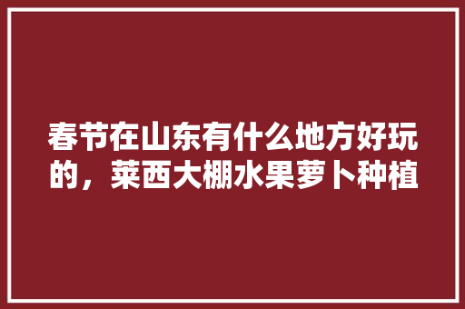 春节在山东有什么地方好玩的，莱西大棚水果萝卜种植基地。 春节在山东有什么地方好玩的，莱西大棚水果萝卜种植基地。 畜牧养殖